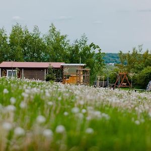 Lazany Domki Na Gorniej Lace - Domek Slowik 빌라 Exterior photo