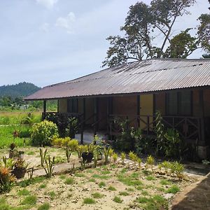 Nelmann'S Nipa Huts 호텔 산 비센테 Exterior photo