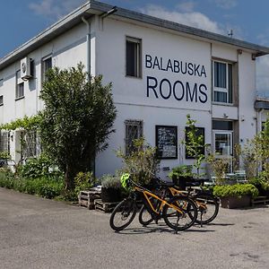 Balabuska Rooms 코데비고 Exterior photo