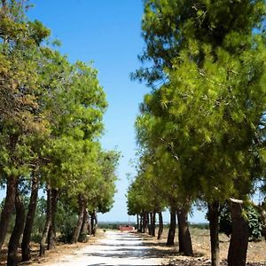 살리체 살렌티노 Masseria San Paolo B&B Exterior photo