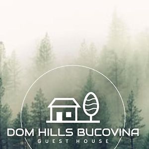 Dom Hills Bucovina 호텔 구라후모룰루이 Exterior photo