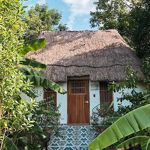 Hotel Boutique Cenote San Ignacio 메리다 Exterior photo