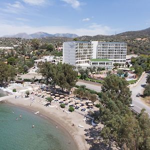 Evia Riviera Resort 에레트리아 Exterior photo