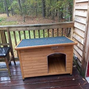 Dunnsville Rustic Quaint Cabin In The Woods--Pets Welcomed 빌라 Exterior photo