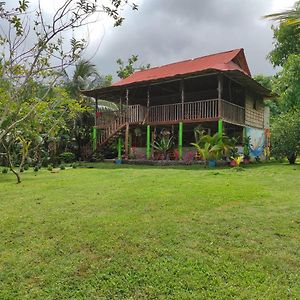 Hostal Flor Tayrona 산타마르타 Exterior photo