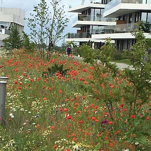 Bo Med Stil Og Udsigt Til Aarhus Lystbadehavn 아파트 Exterior photo