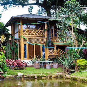 Casa Del Arbol, Romantico, Piscina, En Chinauta, El Mejor Clima 호텔 El Michu Exterior photo