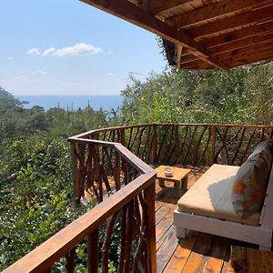 Bamboo Bungalow With Sea View In Kabak Bay, Oeluedeniz 호텔 페티예 Exterior photo