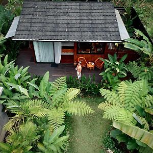 탐파크시링 Kabinji Bali B&B Exterior photo