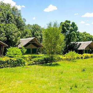 Giraffe Hills Mara Camp 호텔 마사이마라 Exterior photo