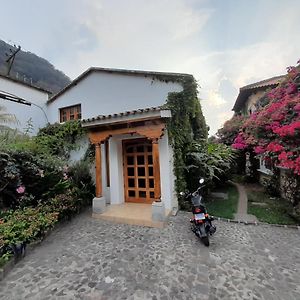 안티구아 과테말라 Hostal Casa Buho B&B Exterior photo