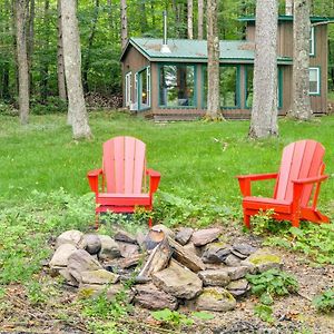 Secluded Upstate Ny Forest Cottage On 33 Acres! 오네온타 Exterior photo