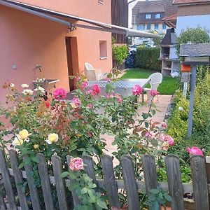 Vendlincourt Bnb Les Oiseaux, Chez Lidia, 26M2 A 44M2, 2Eme Etage B&B Exterior photo