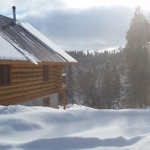 Lac-aux-Sables Chalet Bois Rond Aux Paysages Uniques Avec Spa ! 빌라 Exterior photo