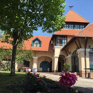 Balatonkeresztúr Garden Panzio B&B Exterior photo