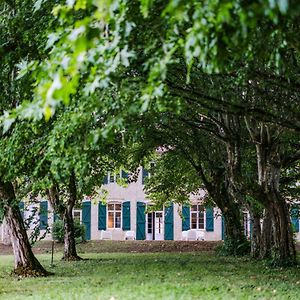 몽토방 Chemin Des Dames - Gite 빌라 Exterior photo