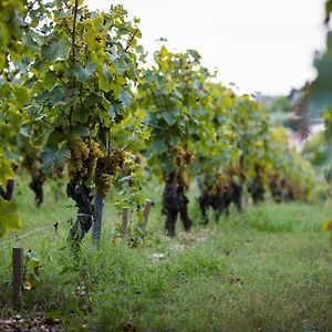 Prignac-et-Marcamps Gite Au Milieu Des Vignes 빌라 Exterior photo