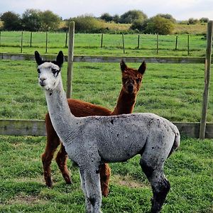 Fiskerton  Seven Acre Farm Campsite 아파트 Exterior photo