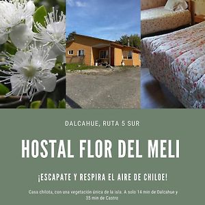 달카우에 Hostal Flor Del Meli B&B Exterior photo