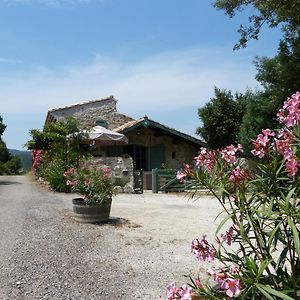 Durban-Corbieres Bergerie Balbonne B&B Exterior photo