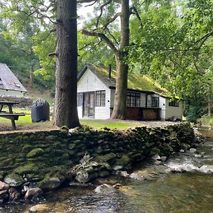 Eglwys-Fach Cuckoo Cabin, Tyn Y Cwm 빌라 Exterior photo