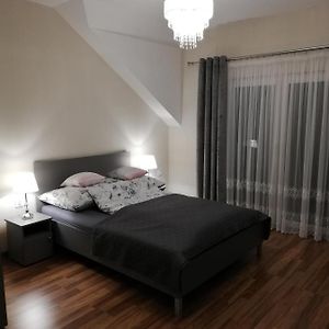 크라쿠프 Apartament Olszynowy Gaj 4 아파트 Exterior photo