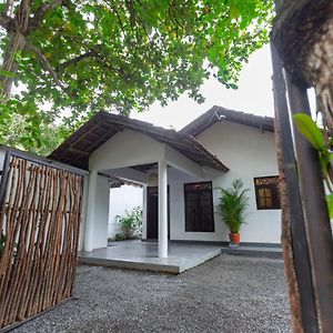 Coconut Cottage - Hiriketiya Beach 디크웰라 Exterior photo