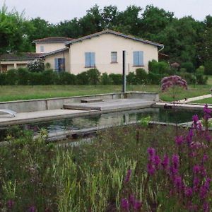 La Maison De Lestang 호텔 Montbeton Exterior photo