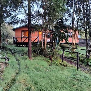 푸에르토몬트 Casa O Habitacion En Carretera Austral 게스트하우스 Exterior photo