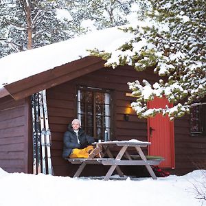 Stuttgongfossen Sjodalen Hyttetun Og Camping 빌라 Exterior photo