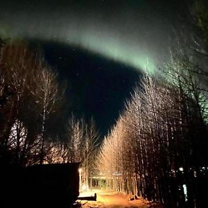 헬라 Audkula Dome Cabin 아파트 Exterior photo