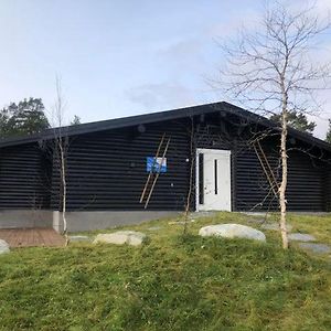 Stor Familiehytte Pa Bjorli 빌라 Exterior photo