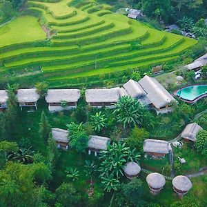 Bungalow Hoang Su Phi 호텔 Exterior photo