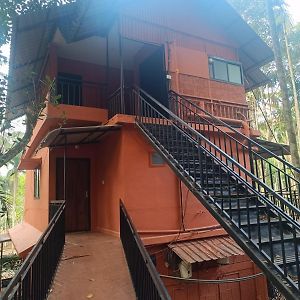 Ayurguru Ayurvedic Kalari Resort 술탄 바테리 Exterior photo