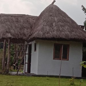 Wakanda Cottage Kibale 포트포털 Exterior photo