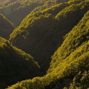 Auressio Wild Valley Ticino Vista In Valle Onsernone 아파트 Exterior photo