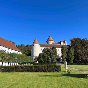 Schwertberg Charming Castle In Austria 빌라 Exterior photo