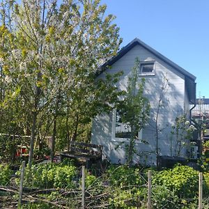 알메르 Tuinhuisje In Het Groen B&B Exterior photo