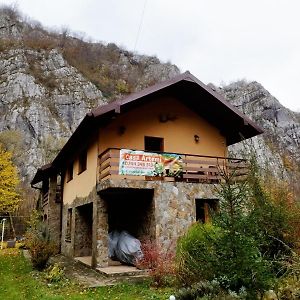 Casa Artemi 호텔 Remeţi Exterior photo