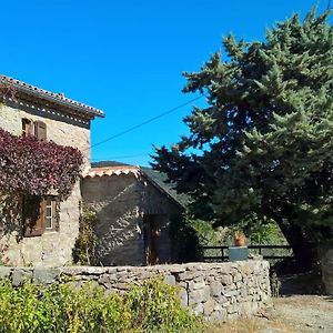 Mialet  La Bergerie En Cevennes 빌라 Exterior photo