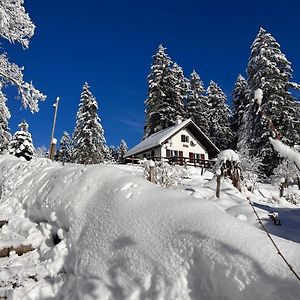 Saint-Imier Le Joly Chalet 빌라 Exterior photo