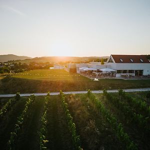 Weinblick & Weingut Grafinger 호텔 센프텐베르그 Exterior photo