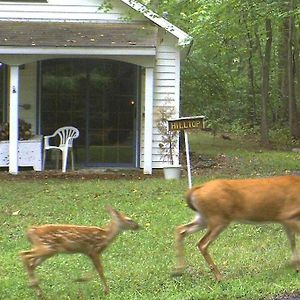 Quiet Cottage On Wooded Property Lusby Exterior photo