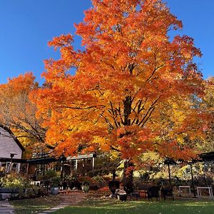 Domaine Jolivent 호텔 락-브로메 Exterior photo