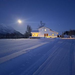 Mountainside Lodge - Breivikeidet 트롬쇠 Exterior photo