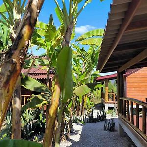 Nana Bungalows Ban Tan Exterior photo