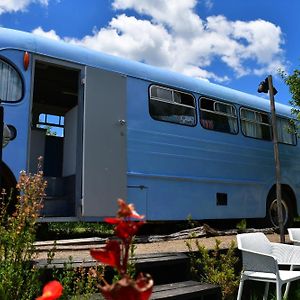 Evi The School Bus At Oromahoe Downs Farm Puketona Exterior photo