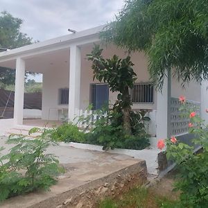 Casa Campo Con Piscina Y Barbacoa Para 6 Personas En Plena Naturaleza 피카센트 Exterior photo