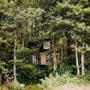 Dziki Las - Domki Na Drzewach Miłomłyn Exterior photo