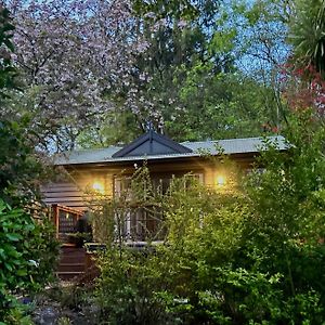 Mountain Cottage In Dandenong Ranges 단데농산 Exterior photo